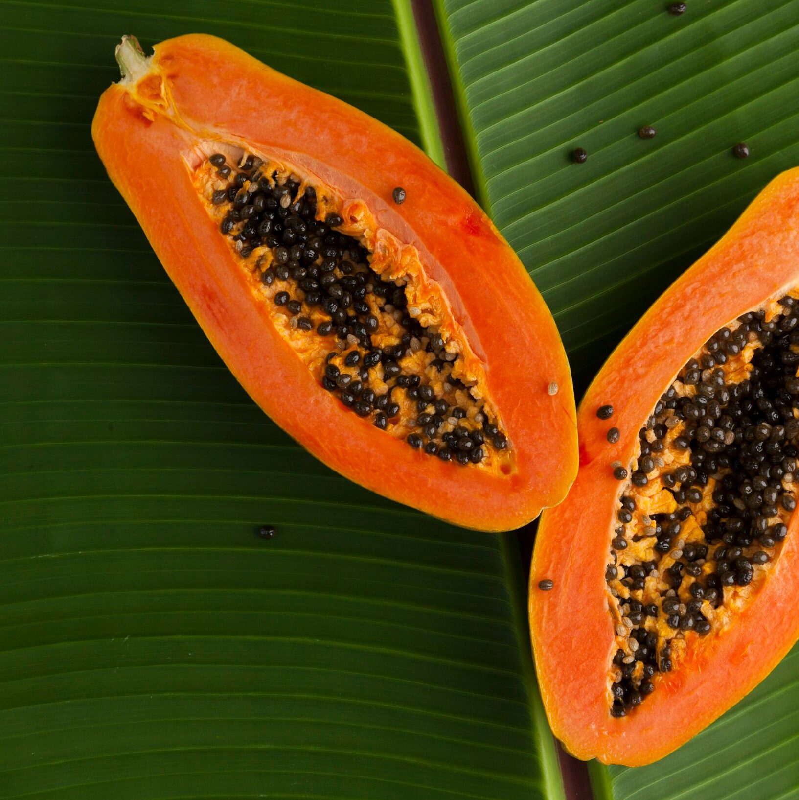 health Benefits of Papaya