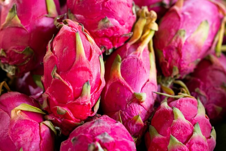 15 Health Benefits of Dragon Fruit : Mohit Tandon Texas